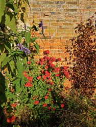 tourville-sur-arques (31)